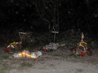 6 trouilles Cathy-28